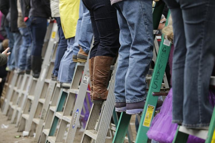 ladders during mardi gras
