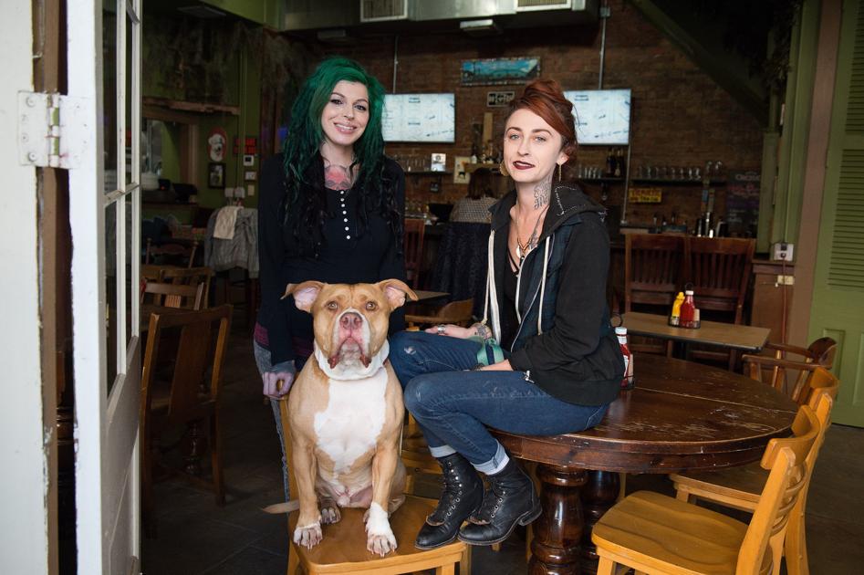 pit bulls and parolees