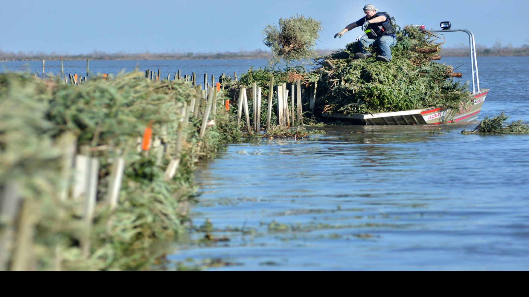 Jefferson Parish Christmas Tree Recycling 2022 Christmas Tree Pickup Starts This Week; Here's How You Can Recycle | News |  Nola.com