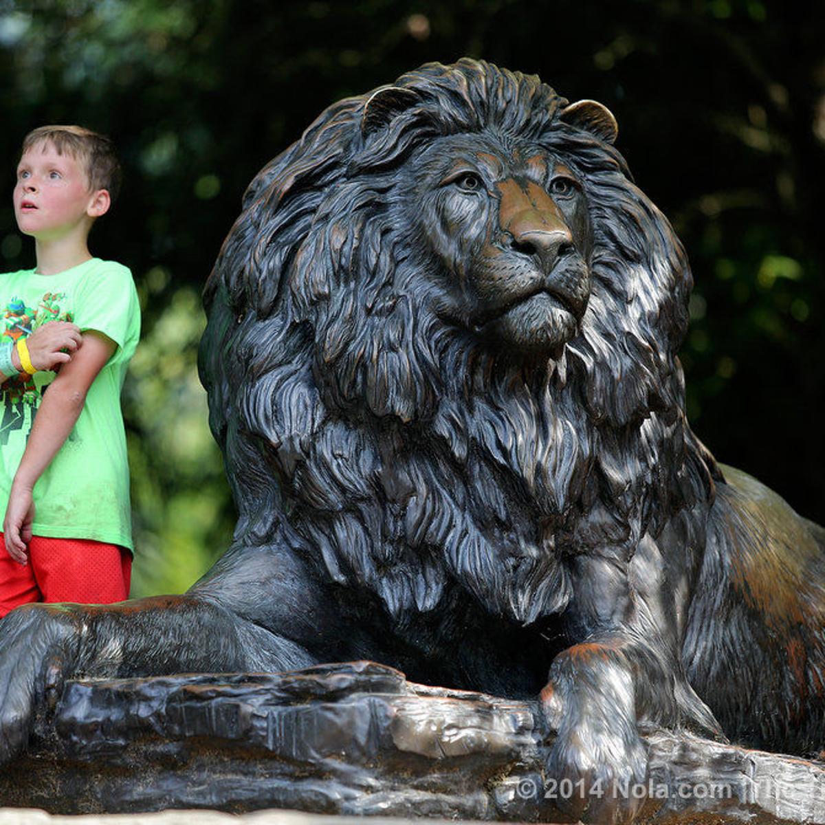 Monkey Hill Which Turns 80 This Summer Isn T The Highest Spot In New Orleans But It S One Of The Most Beloved Home Garden Nola Com