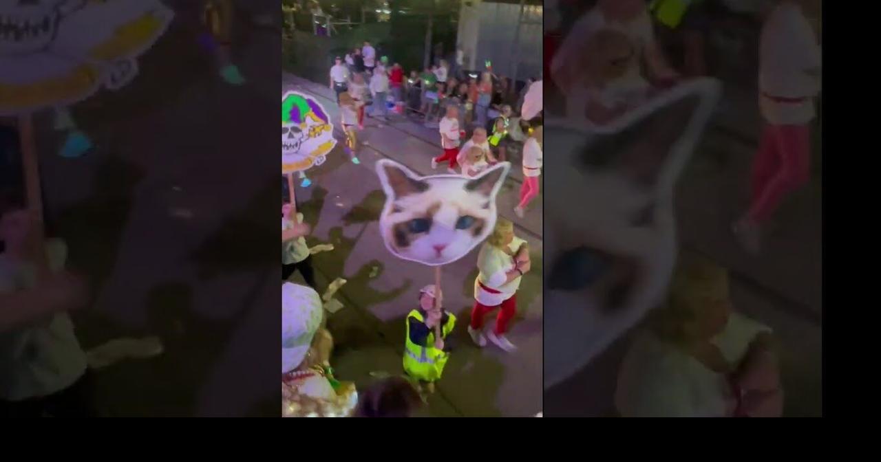 Taylor Swift ridiculed by Mardi Gras parade. | Multimedia | nola.com