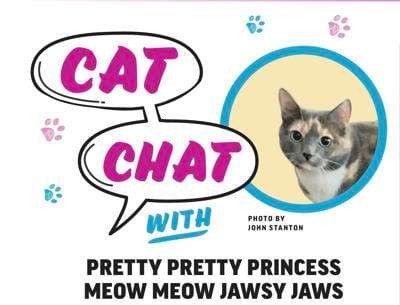 Cat Chat graphic.jpg