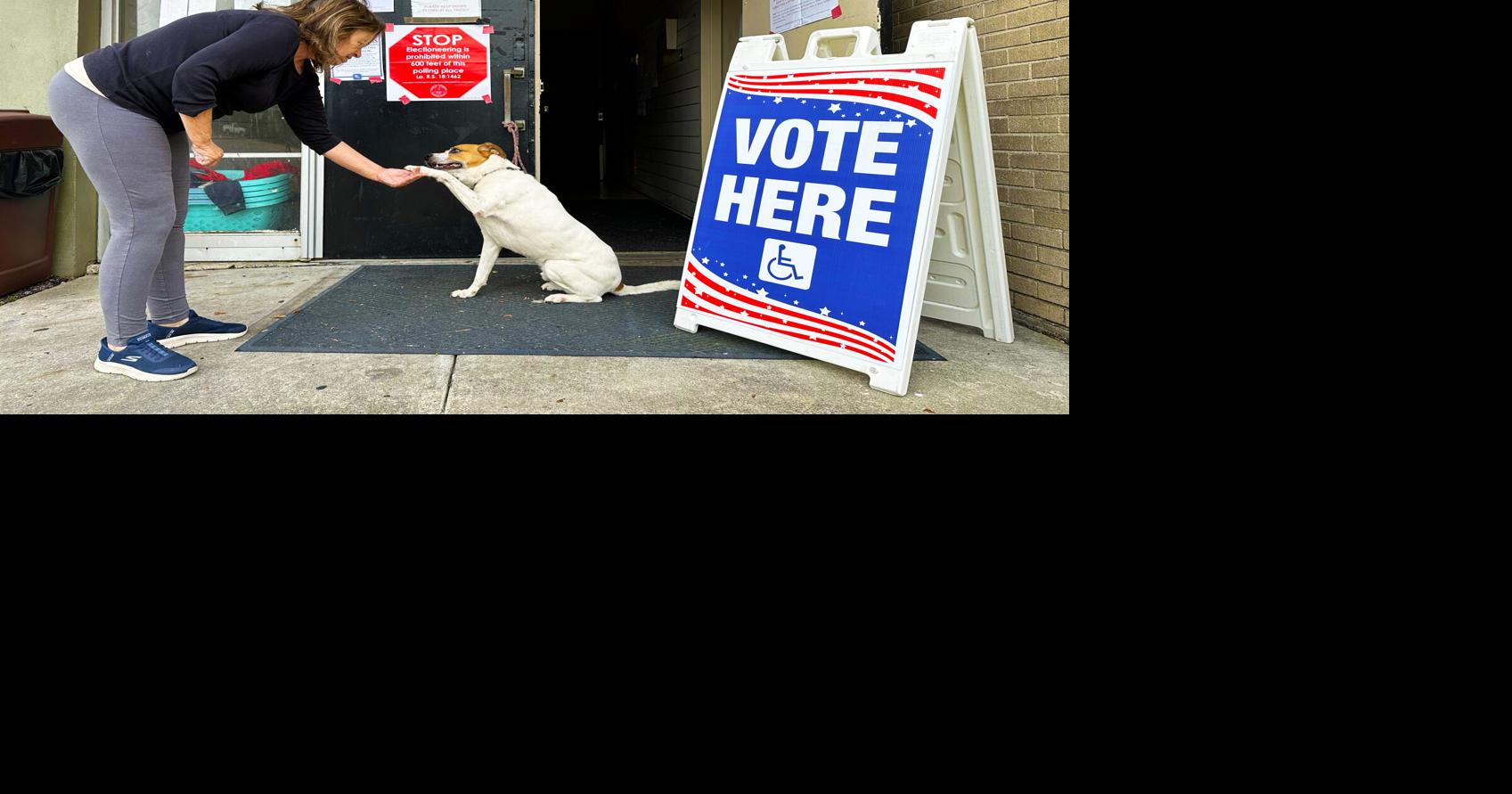 The constitutional amendments on Louisiana's Dec. 7 election ...