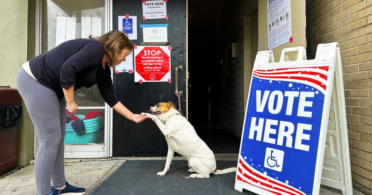 The constitutional amendments on Louisiana's Dec. 7 election ...