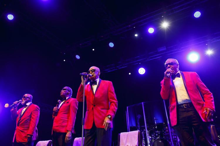 BBoA- PC_Jessica Wyld from Perth 2020.jpeg