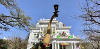 Here's what national media outlets are saying about New Orleans' Mardi Gras float houses