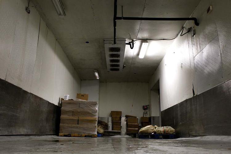 With scarcity and rising prices, oysters to a 'delicacy,' Daily