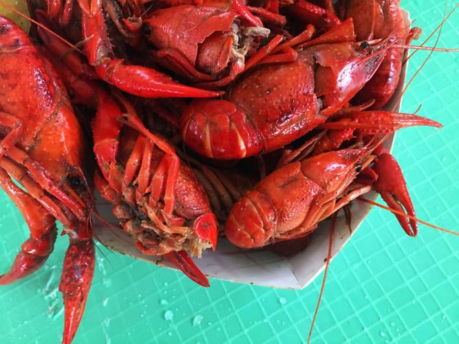 Best Cajun food at New Orleans Jazz Fest Entertainment/Life