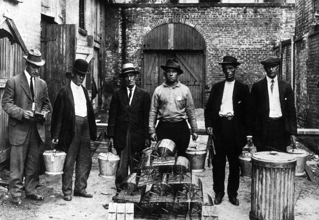 The Battle Against Bubonic Plague 100 Years Ago New Orleans