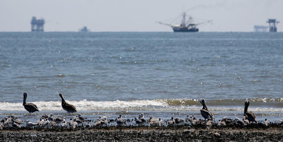 Wisner Trust to receive 30 million over 21 years from BP Environment