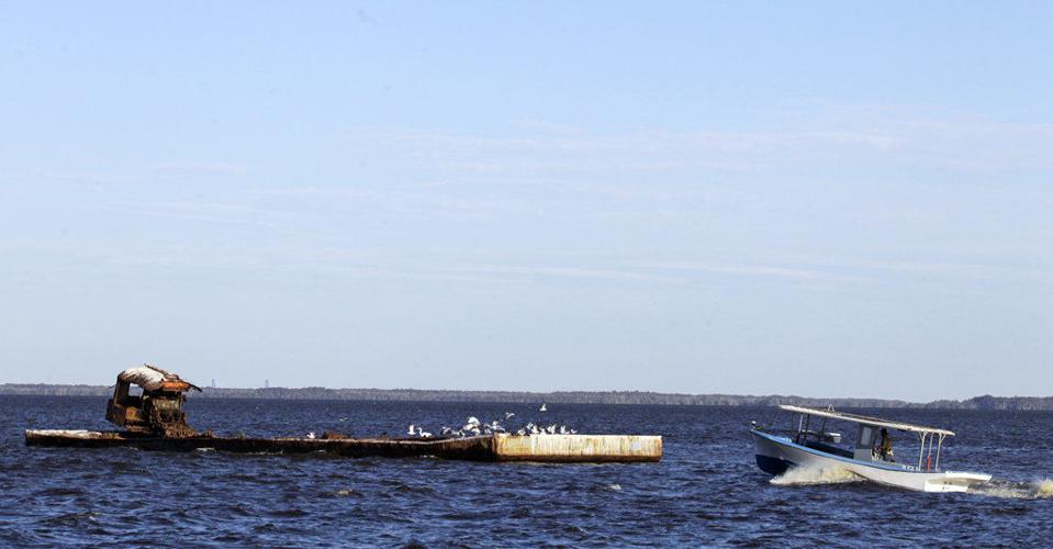St. John Parish's West Lac des Allemands shoreline restoration project