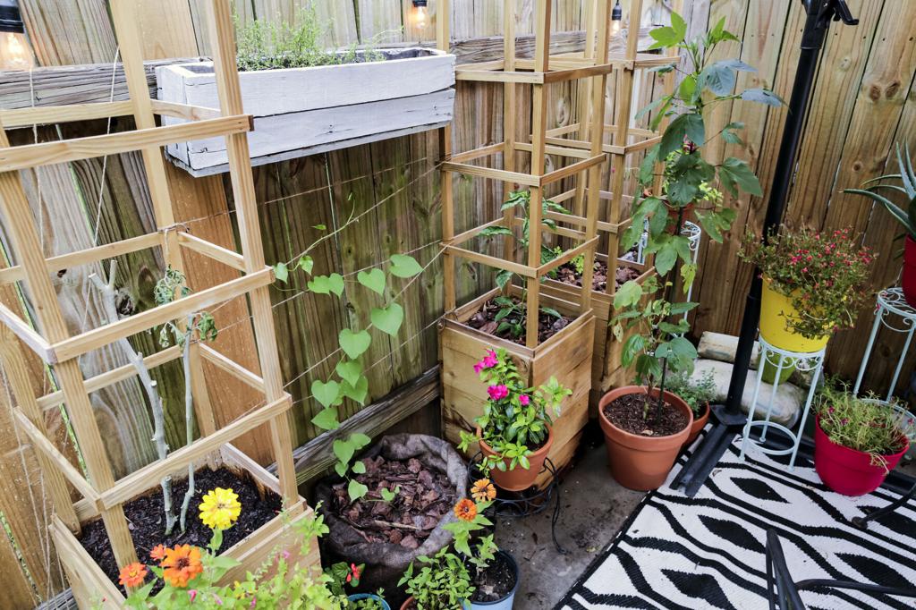 Gardening Classes New Orleans