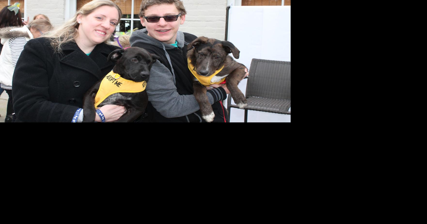 Tammany Scene Auction is a sweet success the for Humane Society St. Tammany community news