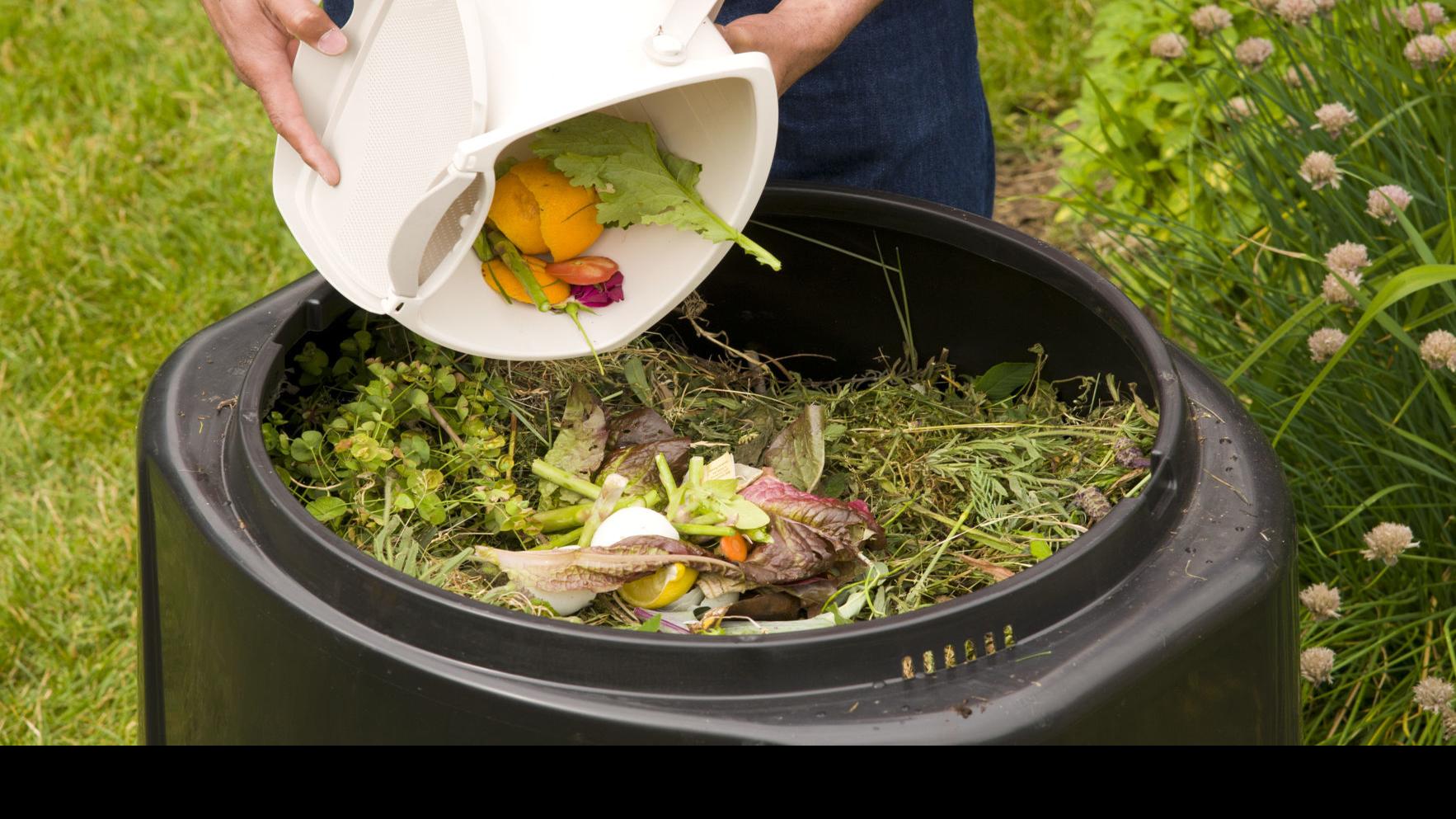 Compost Archives - joe gardener®