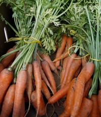 Garden tips: Which veggies to plant now, and go light on the pesticides