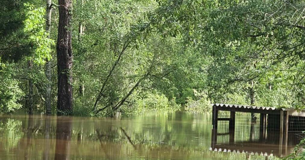 Mississippi mom drowns after flash flooding engulfs her SUV on busy street, reports say