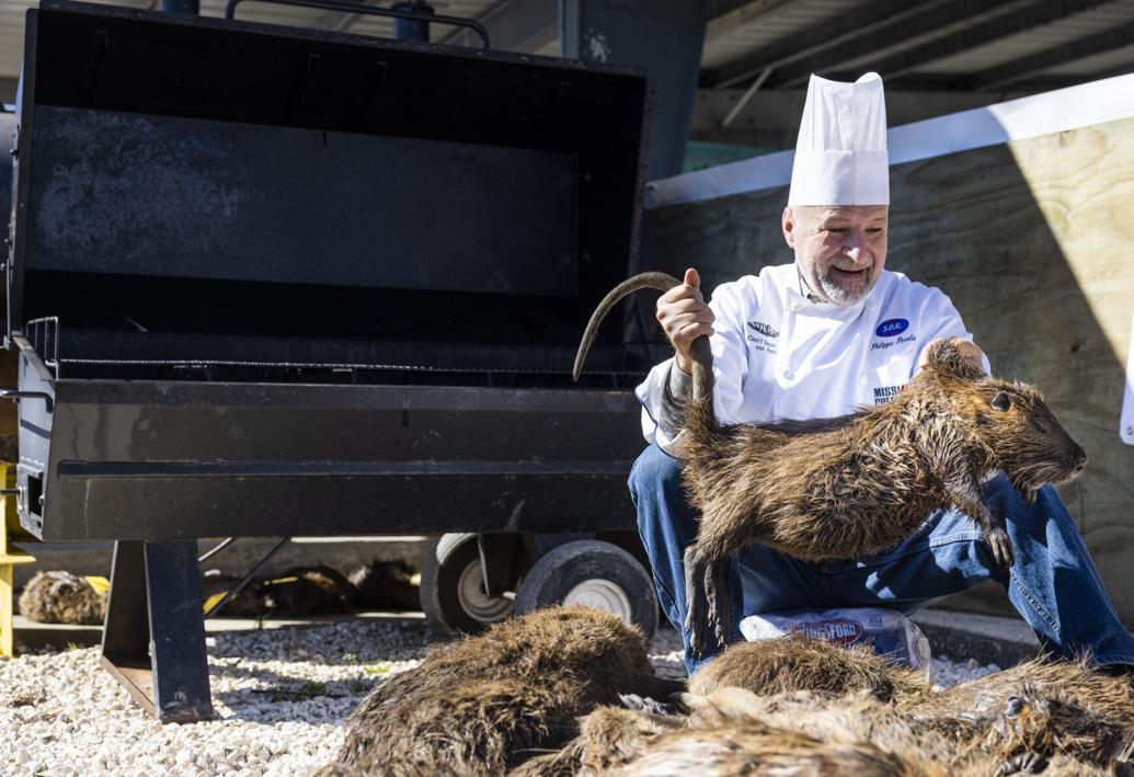 Despite cold and rain, Nutria Rodeo bags 1,900 swamp rats, tops last