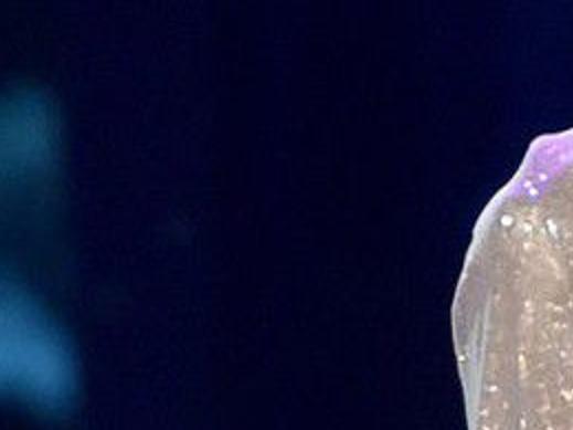 Janet jackson essence fest