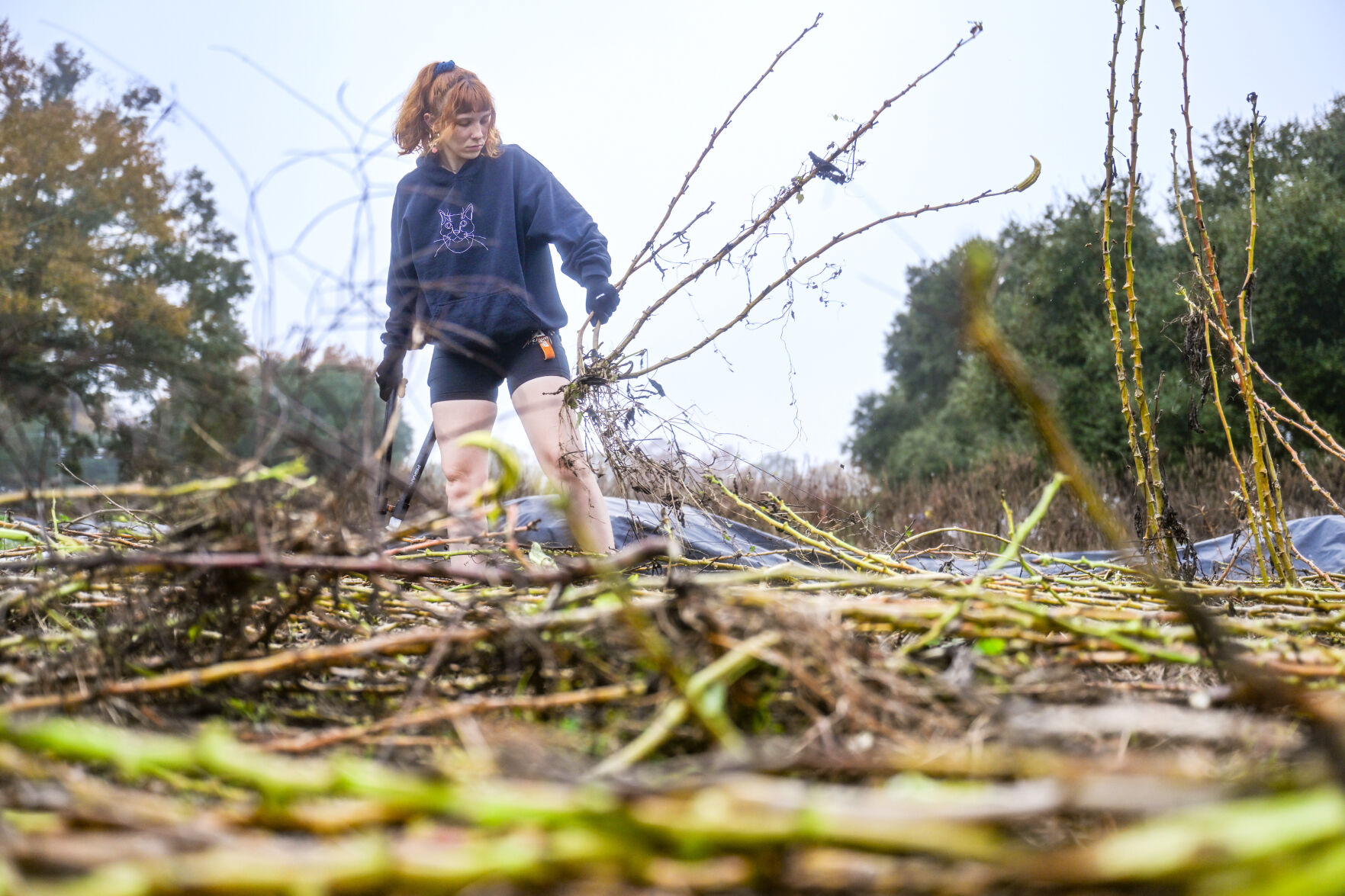 Baton Rouge community farm training new urban farmers | Louisiana ...