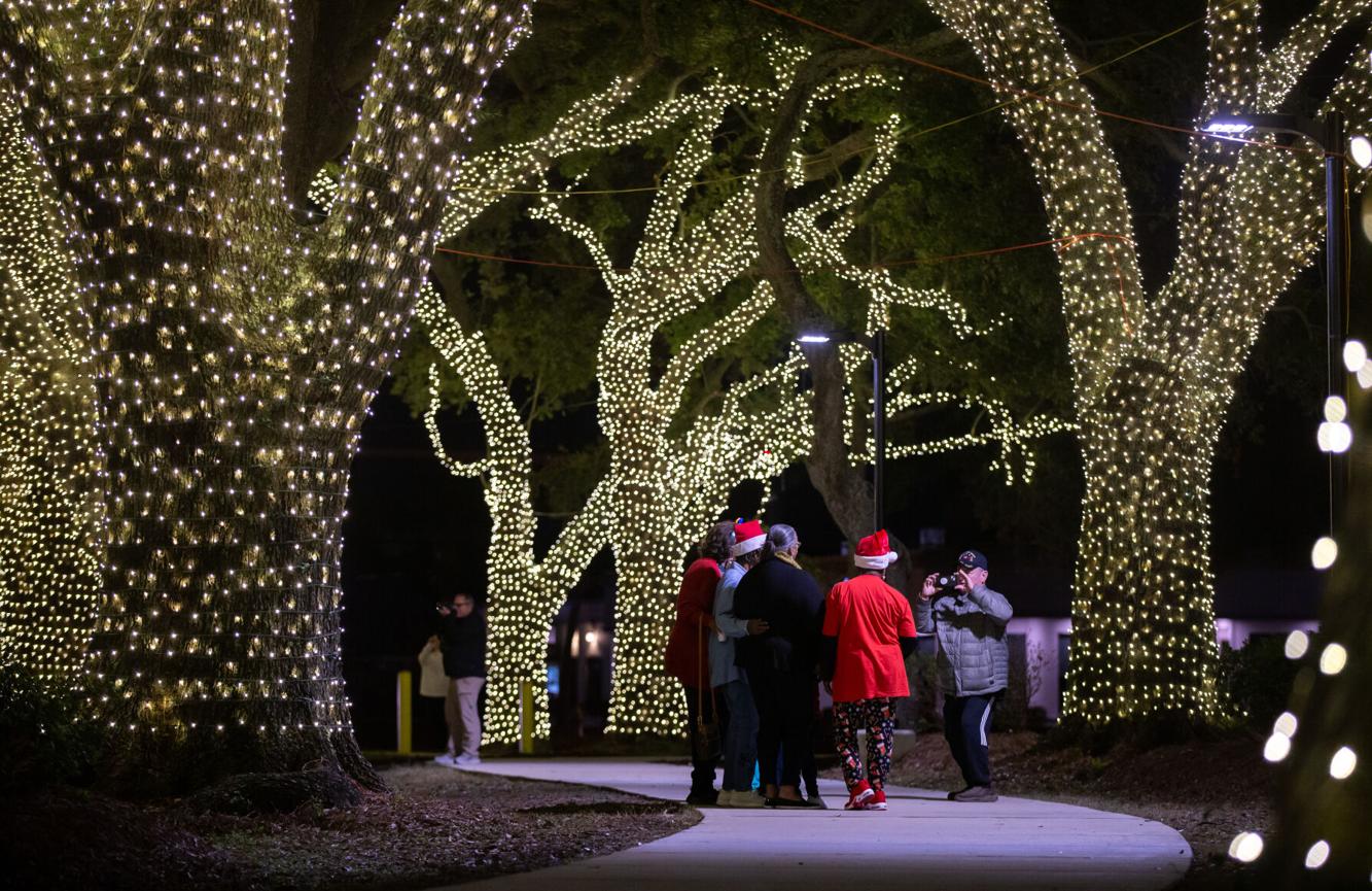 Photos: Hope Haven Live Oak trees are lighted for the first time for ...