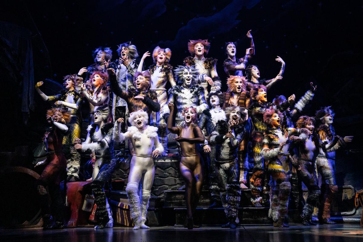 The company of the 2021-2022 national tour of CATS (Photo By Matthew Murphy, Murphymade) v1.jpg