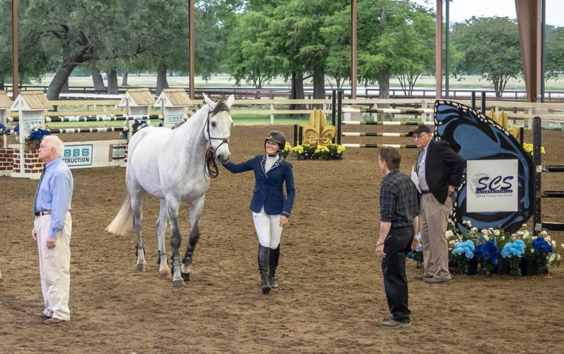 Tails but no Black Tie a winner for Equest Farms Parties/Society