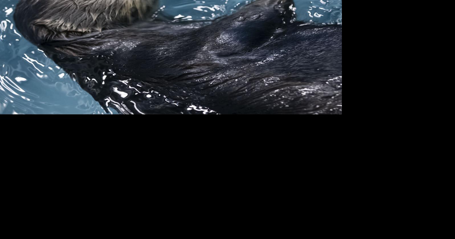 There's global progress around the world. Here are 5 stories that highlight solutions.