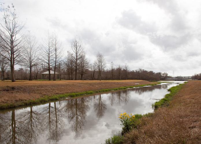 Running wild Path for the Run on the Bayou is pure Louisiana Crescent