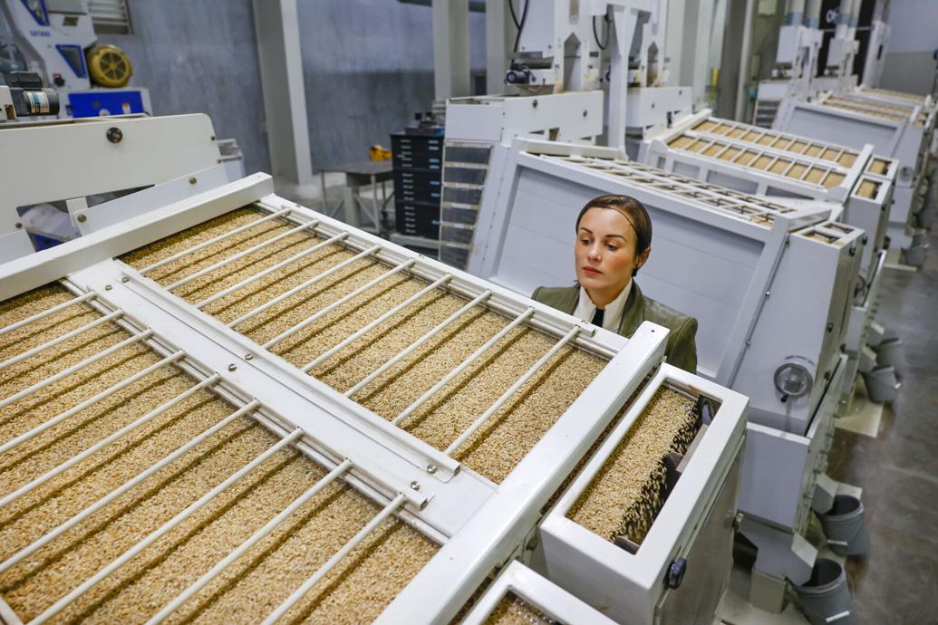 Louisiana rice farmer Meryl Kennedy a new agriculture leader News