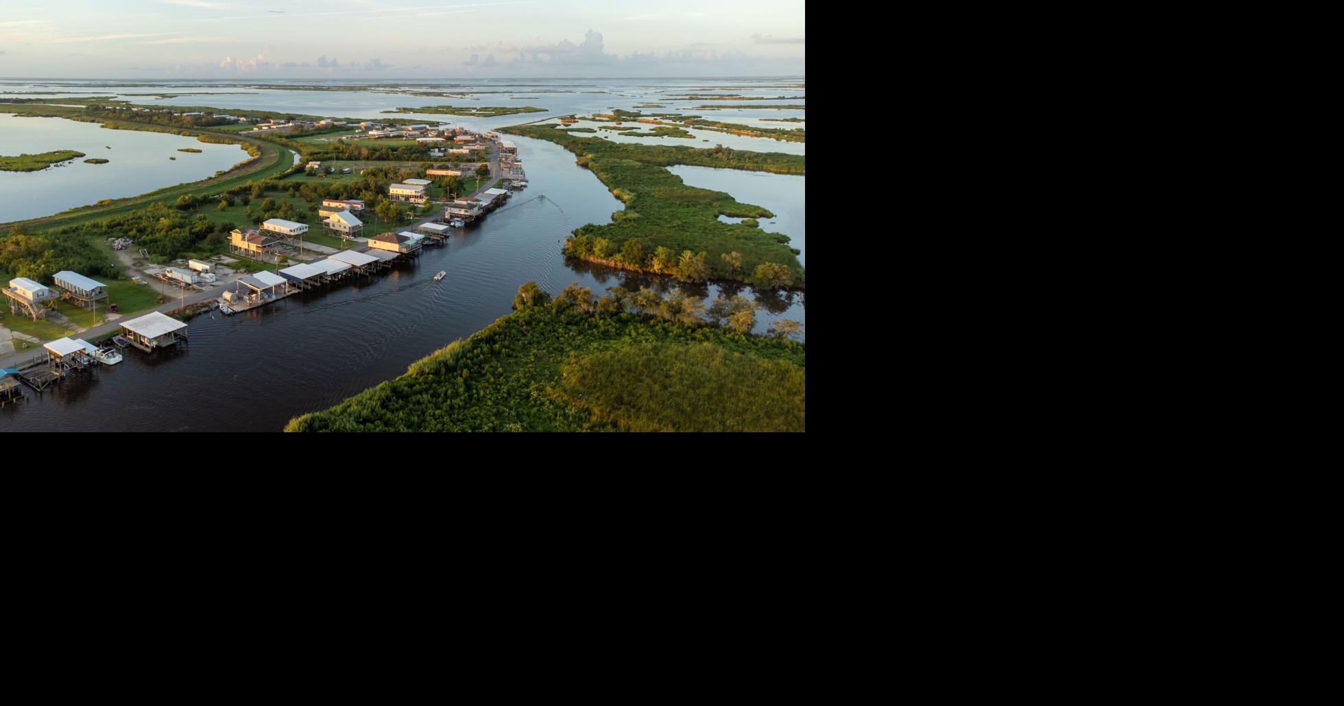 New study spells more bad news for Louisiana’s freshwater wetlands