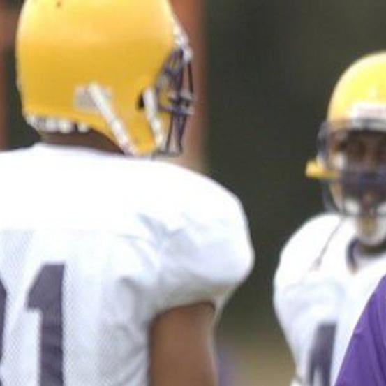 The Magnificent Seven My Favorite Lsu Coaching Candidates