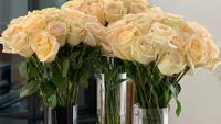 Be mine for just $39.99: One dozen cream roses for V-Day