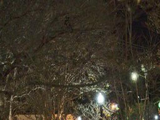 10 Gulf Coast Events To Get You In The Holiday Spirit One