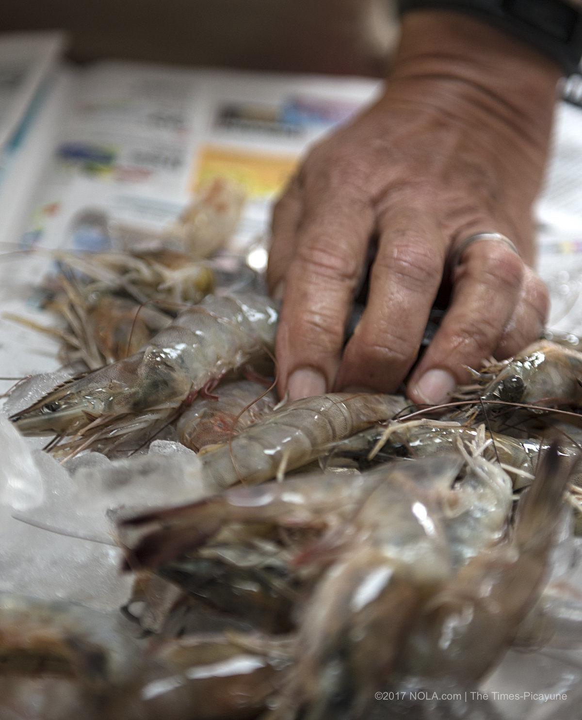 Win Your Weight in Shrimp 2018: Submit a recipe to enter | Where NOLA