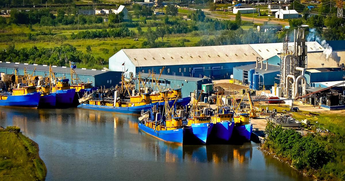 From Gulf to Global Markets: How Menhaden Powers the U.S. and the World