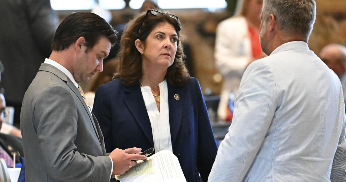Quin Hillyer: Louisiana's 'One Door' will make Medicaid changes a help, not a hindrance