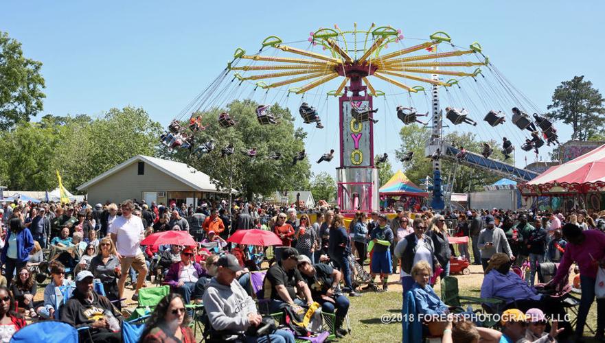 Ponchatoula Strawberry Festival 2018 showcases sweet Louisiana fruit, fun times Archive