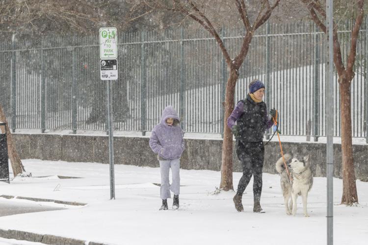 How much snow is expected in New Orleans area? Weather