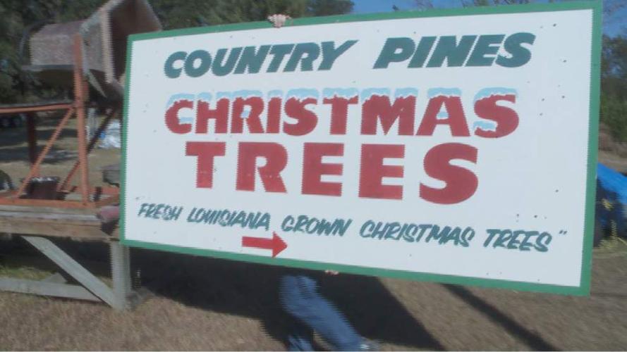 Grinch stole north shore tree farm’s Christmas this year St. Tammany community news