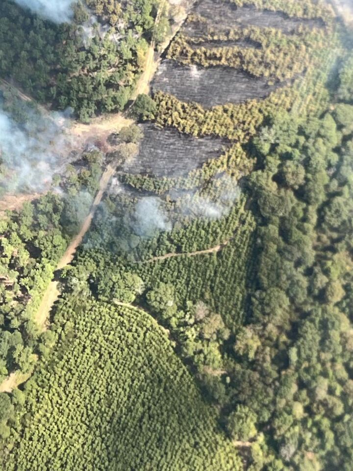 Hundreds Of Wildfires Across Louisiana Burn Homes Forests   64dee35ed80a2.image 