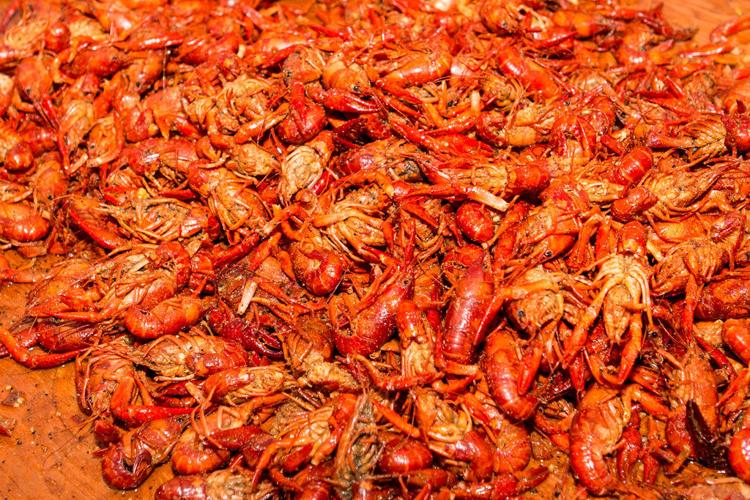 Hogs for the Cause raises more funds at its Seafood Jubilee Gala Parties/Society