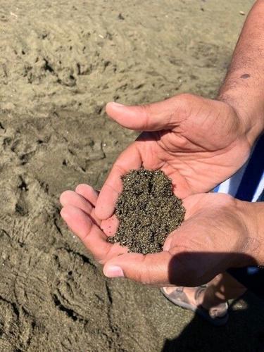 Big island olive green sand in hands