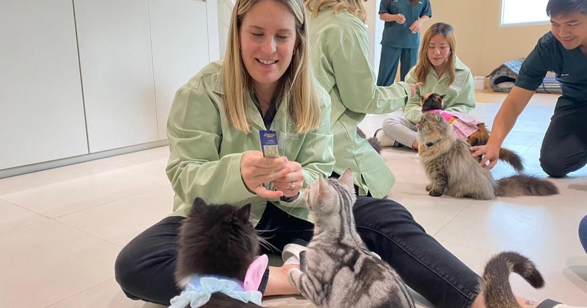 New Orleans based pet food company growing quickly | Innovation New Orleans based pet food company growing quickly | Innovation