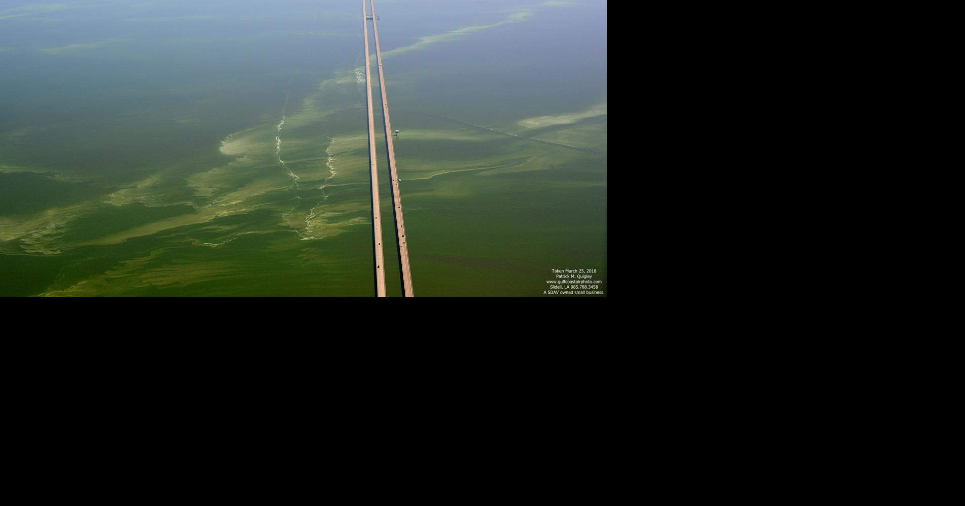 Algae blooms spotted in Lake Pontchartrain