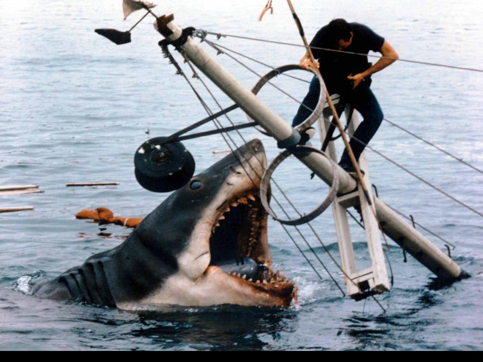 Mechanical 'Jaws' shark taken to Museum of Motion Pictures in Los