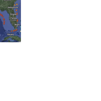 Great white shark LeeBeth tracked to Gulf near Louisiana | Environment