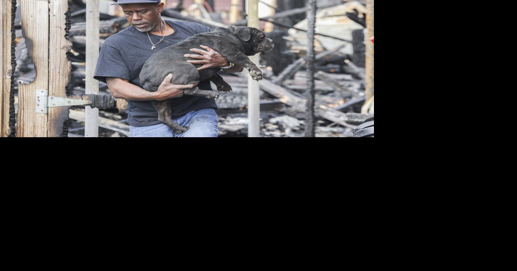 Two dogs rescued in rubble after New Orleans LA house fire | News ...