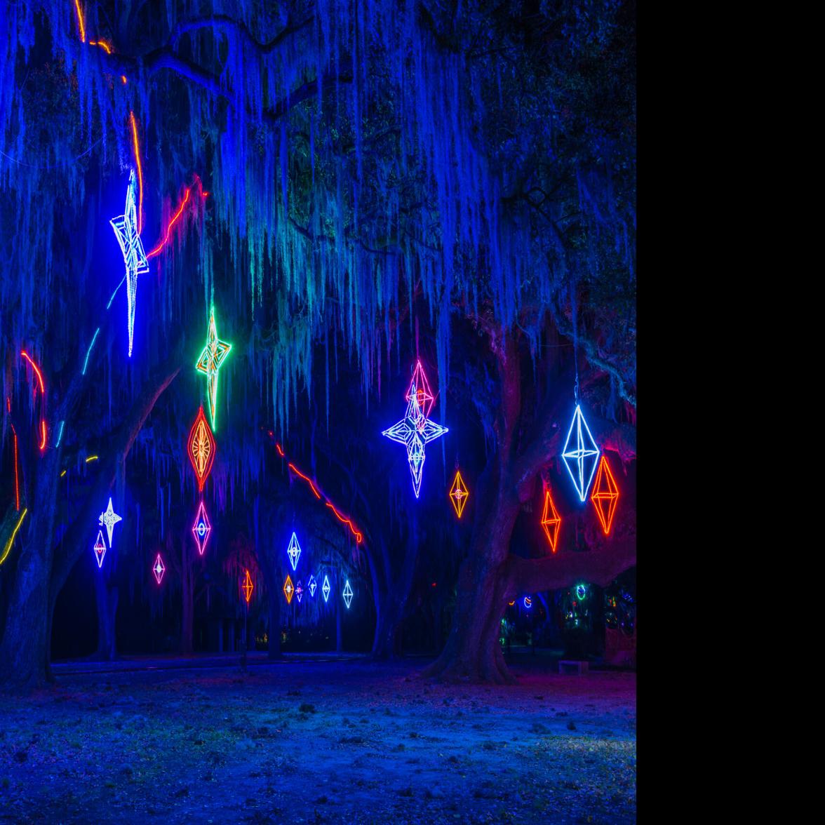 Celebration in the Oaks now costs $39 per vehicle. Here's what ...