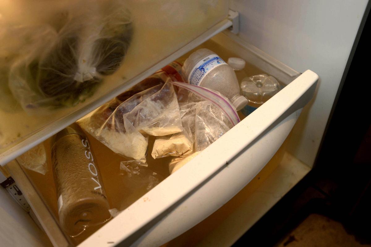 Can Mold Grow in Your Refrigerator? - My Pure Environment
