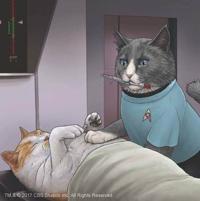 The Serious Absurdity And Purrfection Of Jenny Parks And Star
